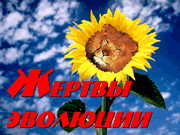 ������ ��������